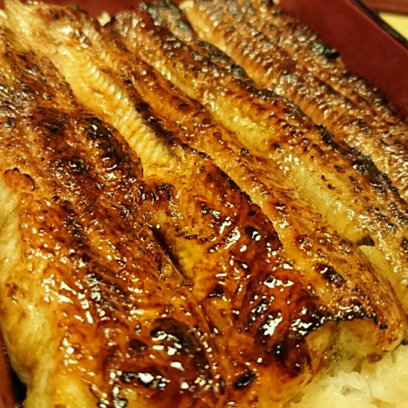 生むし鰻重(芳野屋 )