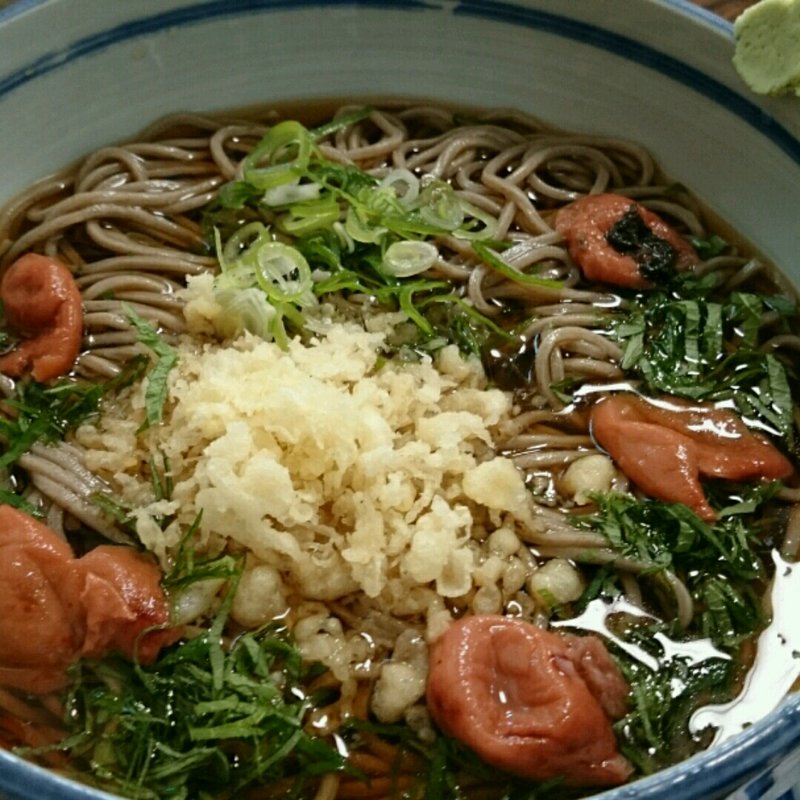 冷やし梅肉(けん太 本荘店 )