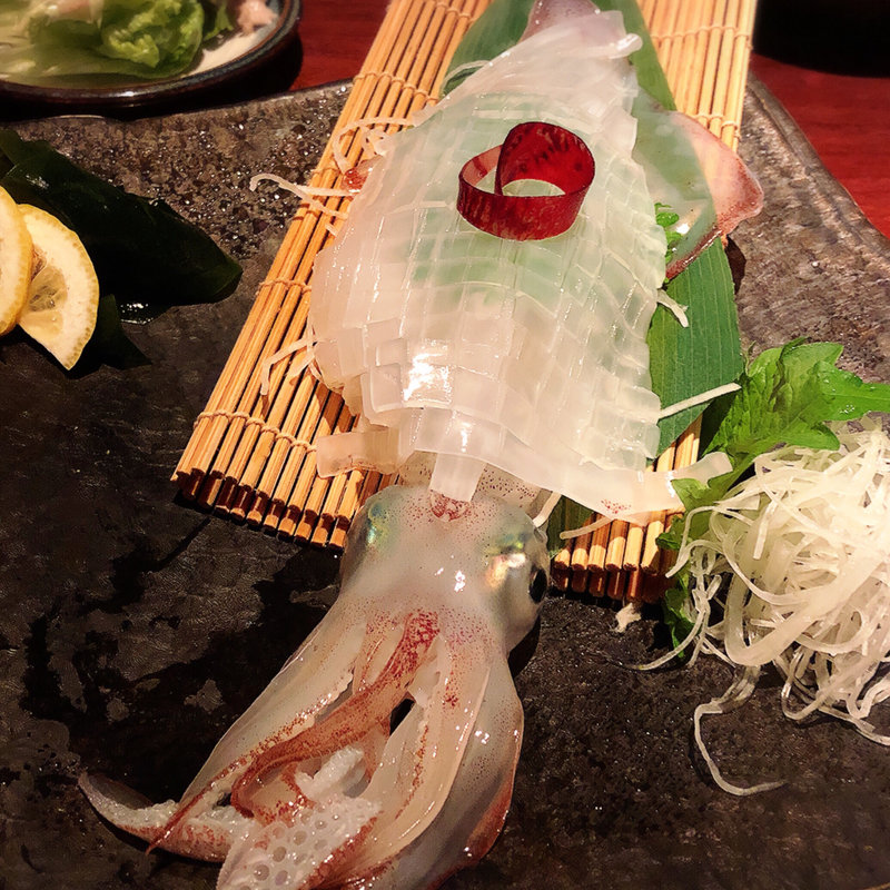 ヤリイカの活き造り(御膳屋 菴離)