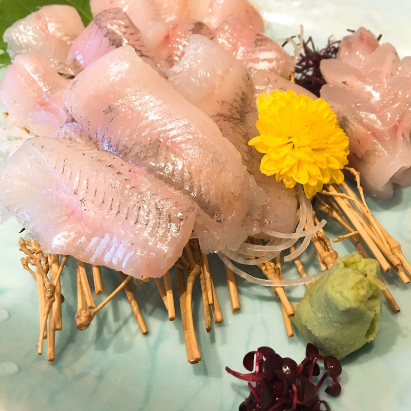 北海道産めひかりの刺身(旬菜・海鮮処 浜漁)