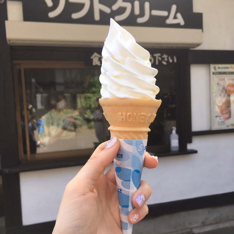 バニラソフトクリーム(南ヶ丘牧場 ミルク茶屋 （ミルクヂャヤ）)