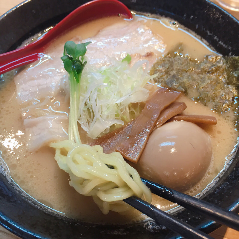 鶏豚骨醤油ラーメン(ラーメン樹 )