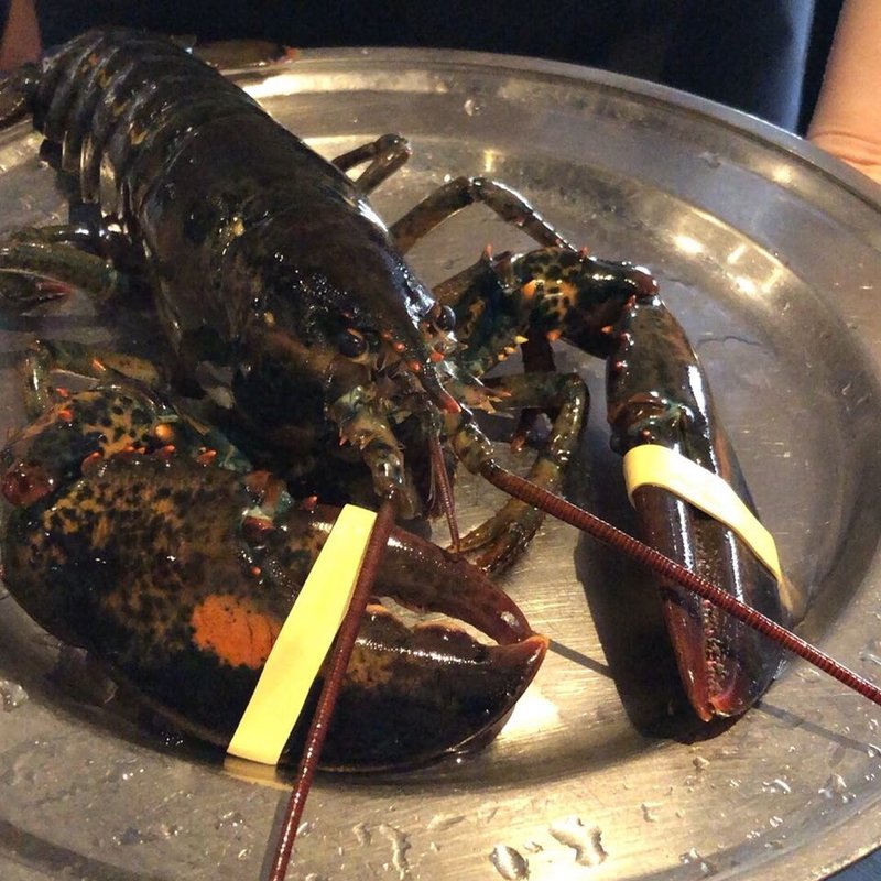 ライブロブスター（スチーム） レギュラー(レッドロブスター アクアシティお台場店 （Red Lobster）)