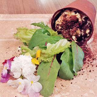 ママの大好きなお花(キャプテンクック （Captain Cook）)