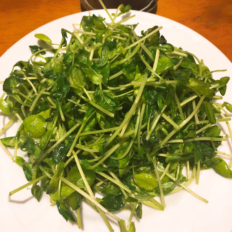 豆苗スタミナ炒め(居酒屋 かぼちゃ 田町店)