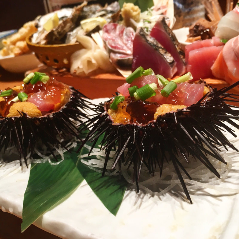 殻付き雲丹(魚金新店)