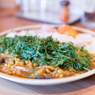 ベジタリアンカレー+パクチー(スパイス スエヒロ)