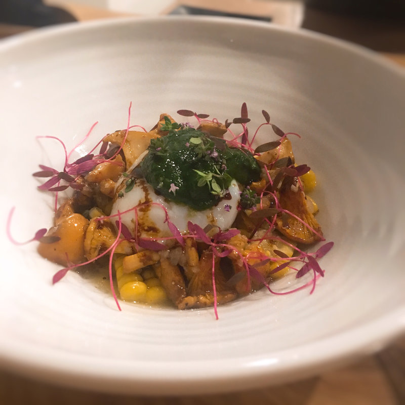 ジロール茸 温泉卵 パセリ(yaoyu)