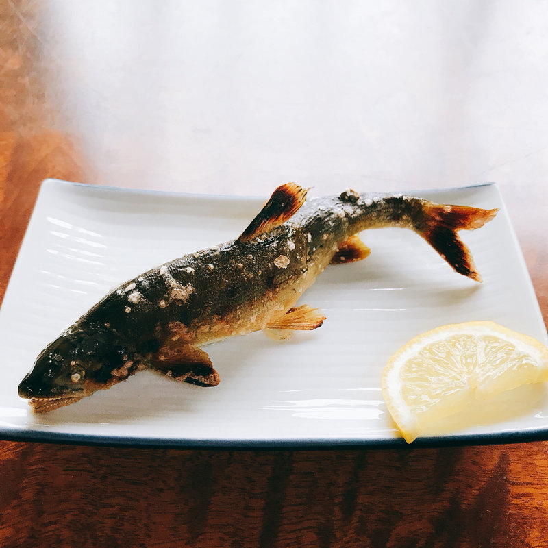 鮎の塩焼き(川入園)