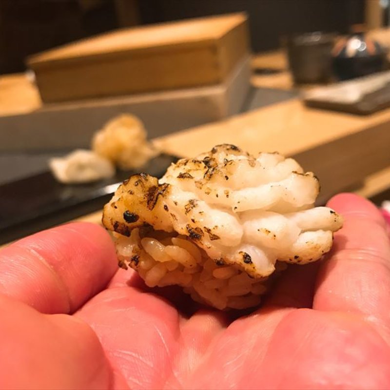 白子(髙橋 謙太郎 )