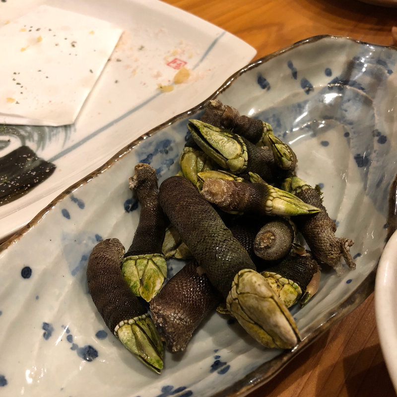 かめの手の塩茹で(炉ばた 焔仁)