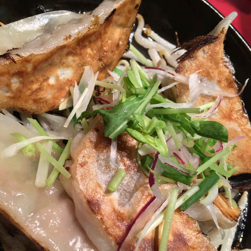 鉄板餃子(えにし )