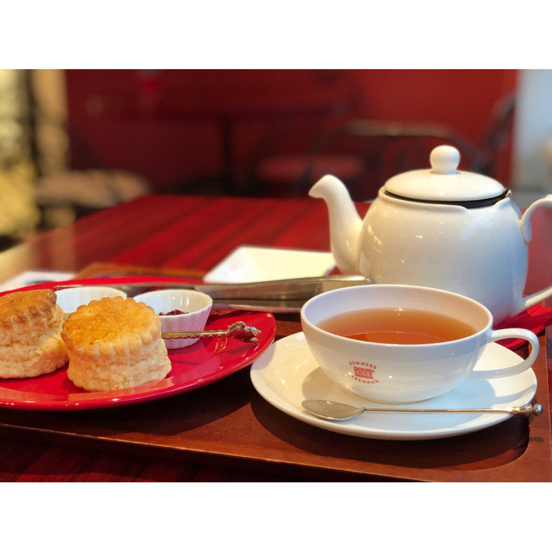 ホットティー(デンメア)