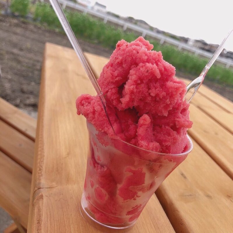 自家製イチゴジェラート(ファーム西川)