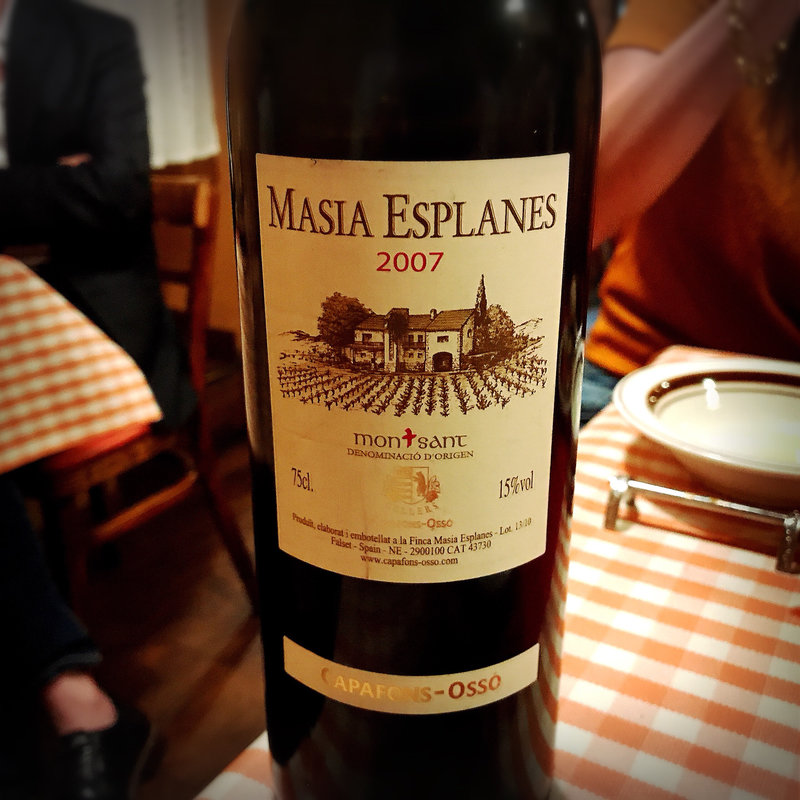 MASHIA ESPLANES(サル イ アモール （Sal y Amor）)