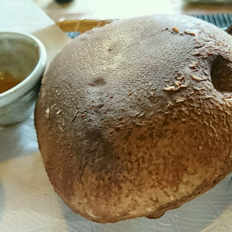 プレミアム生椎茸(ろばたやき山ろく （さんろく）)