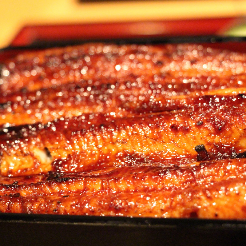 うな重(活け鰻 千年屋)