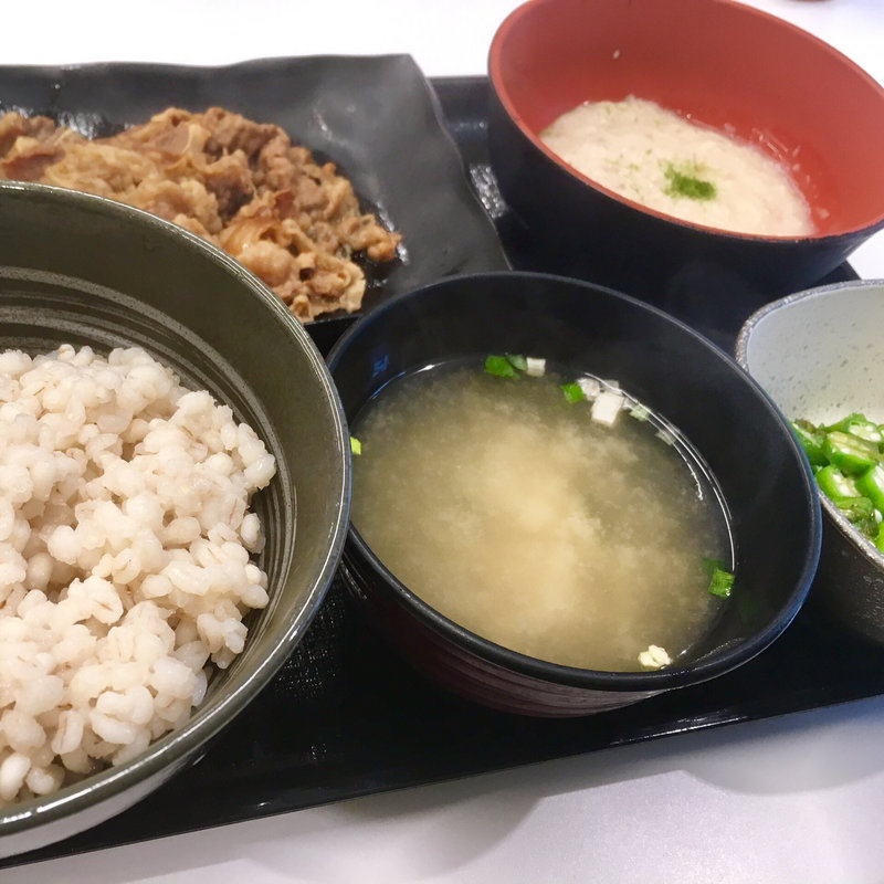 麦とろ牛皿御膳(吉野家 札幌狸小路店)