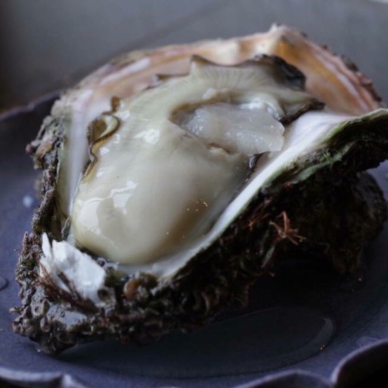 岩牡蠣(umebachee)