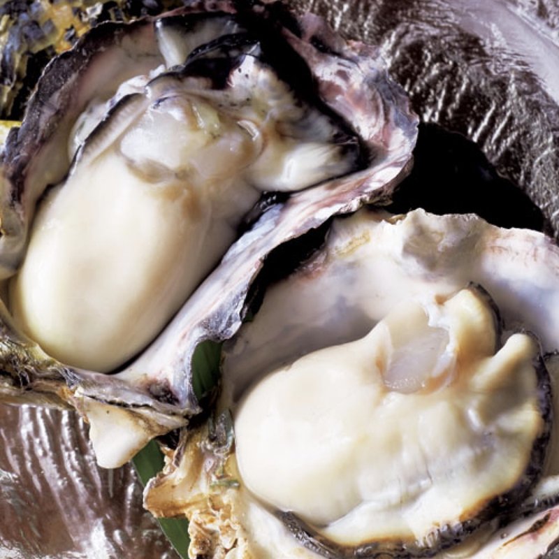 生牡蠣(潮音 （シオン）)