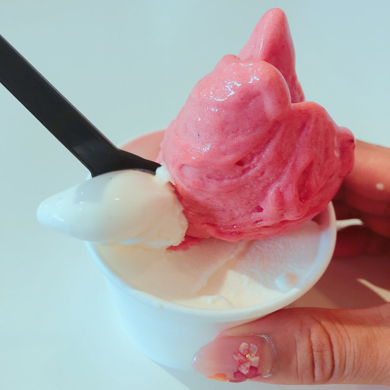 ジェラート　ダブル(マルガージェラート野々市店 )