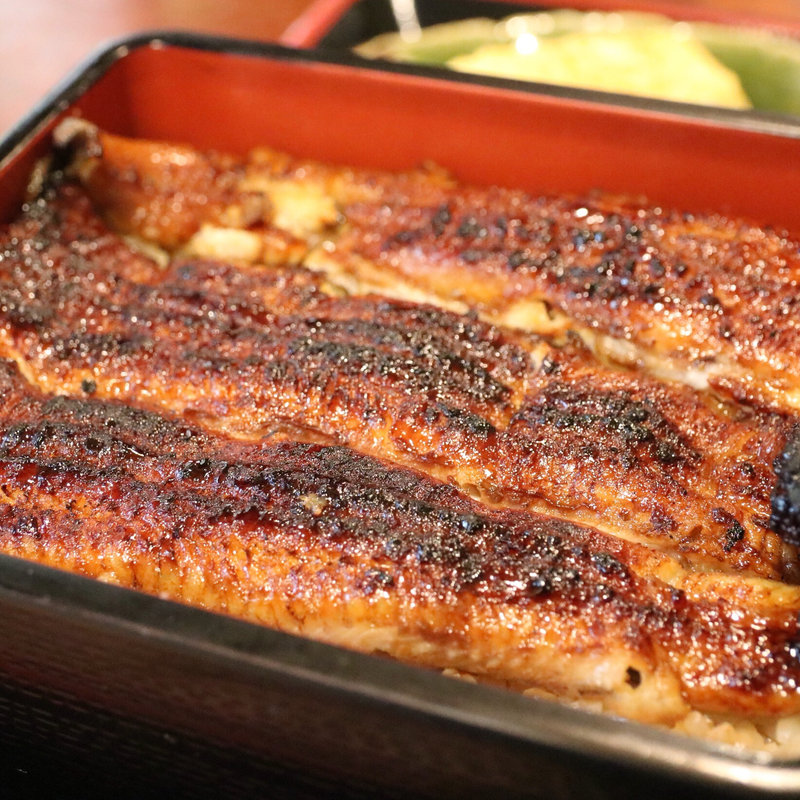 鰻(うなぎ量深)