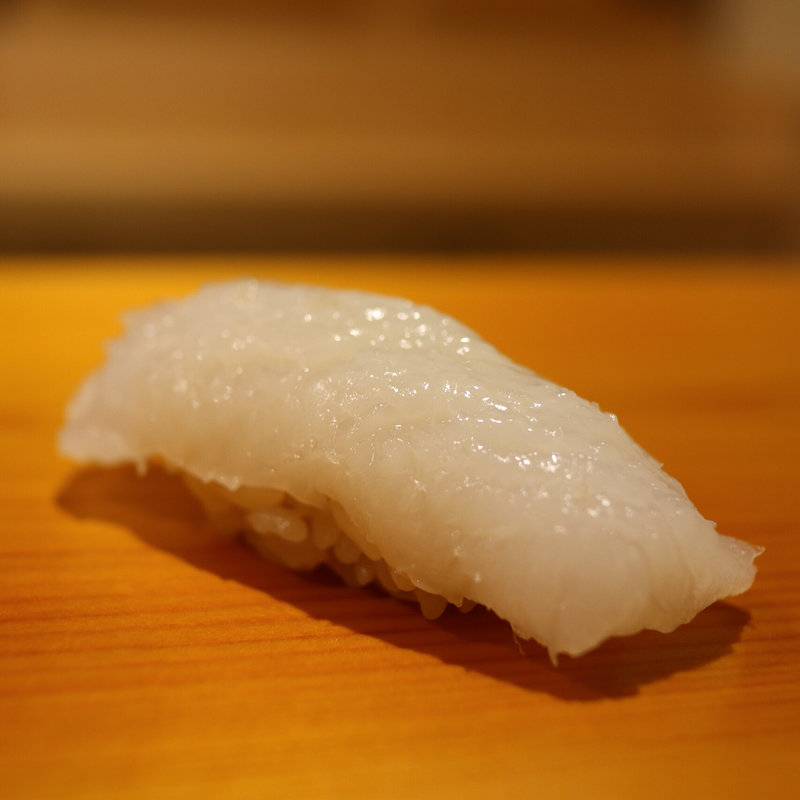 アオリイカ(鮨 あらい)