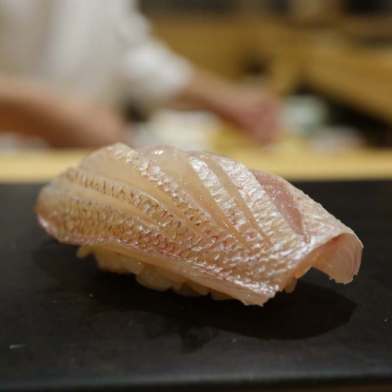 春子(鮨はしもと)