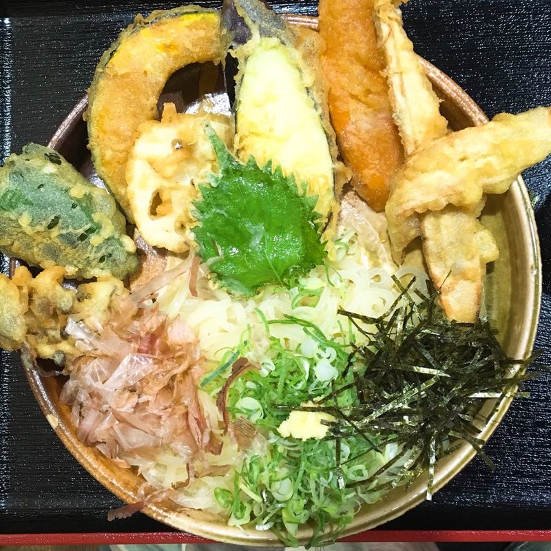 野菜天ぶっかけ(大地のうどん 博多駅南店)