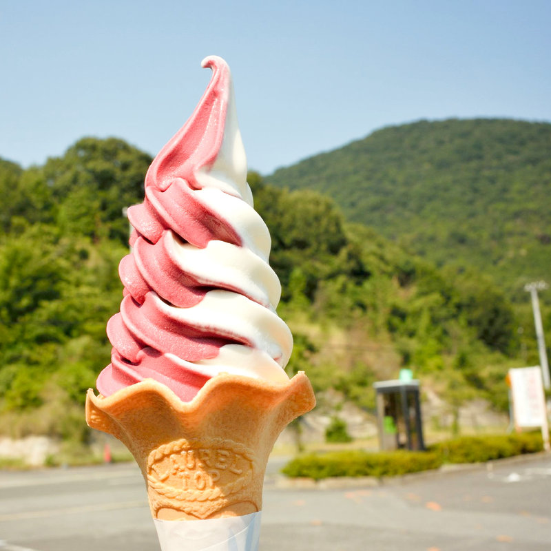ボイセンベリーソフトクリーム(ふれあいパークみの （道の駅ふれあいパーク）)