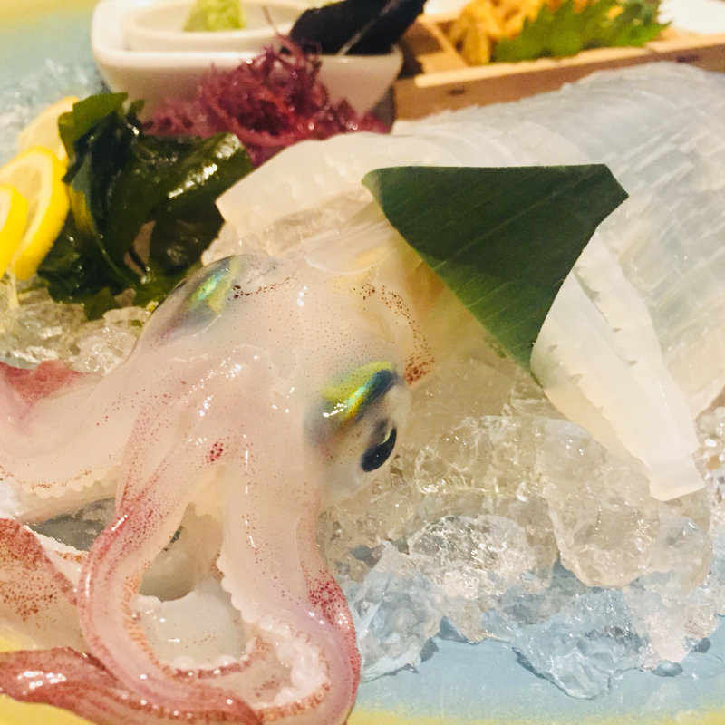 ヤリイカの活け造り(十徳や 天文館店 （じゅっとくや）)