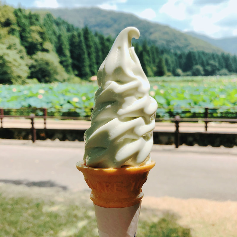 蓮の葉ソフトクリーム(花はす公園)