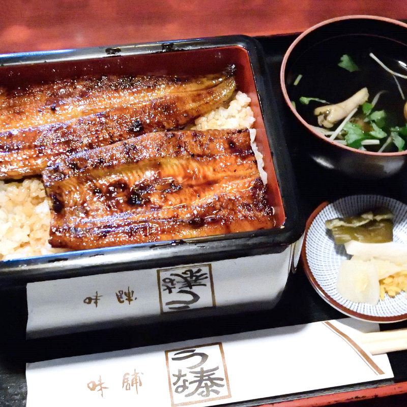 うな重（菊）(うな泰 )