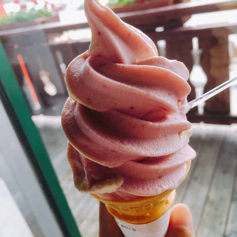 コケモモミックスソフトクリーム(スカイレストランこまくさ亭)