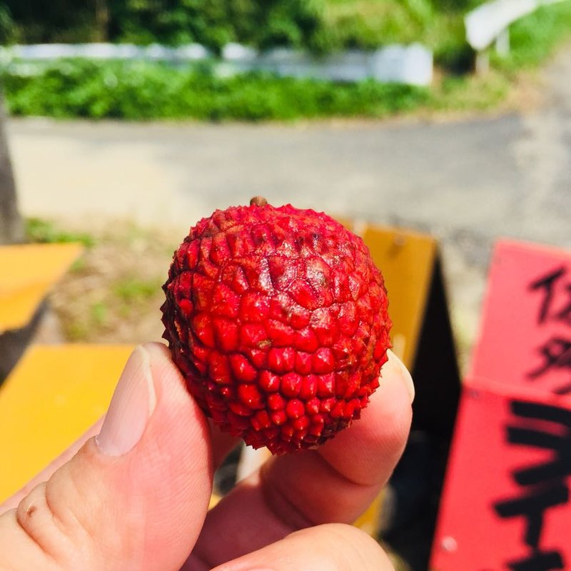 佐田ライチ(佐田ライチ24時間無人販売所)