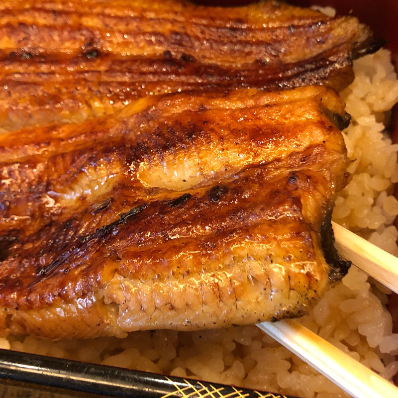 鰻重（梅）(日本橋 伊勢定 大丸東京店)