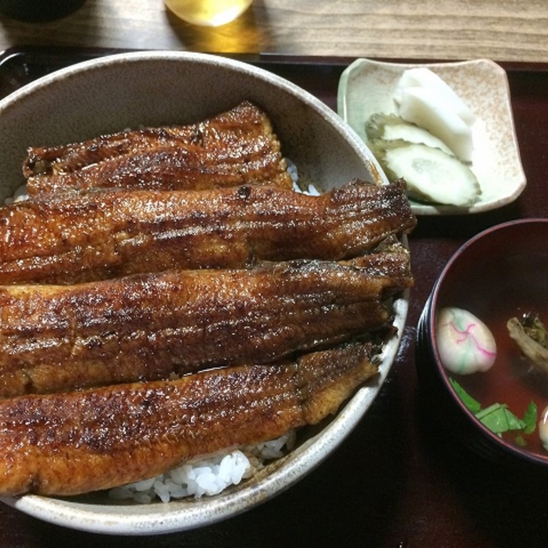 うな豊丼　(うな豊)