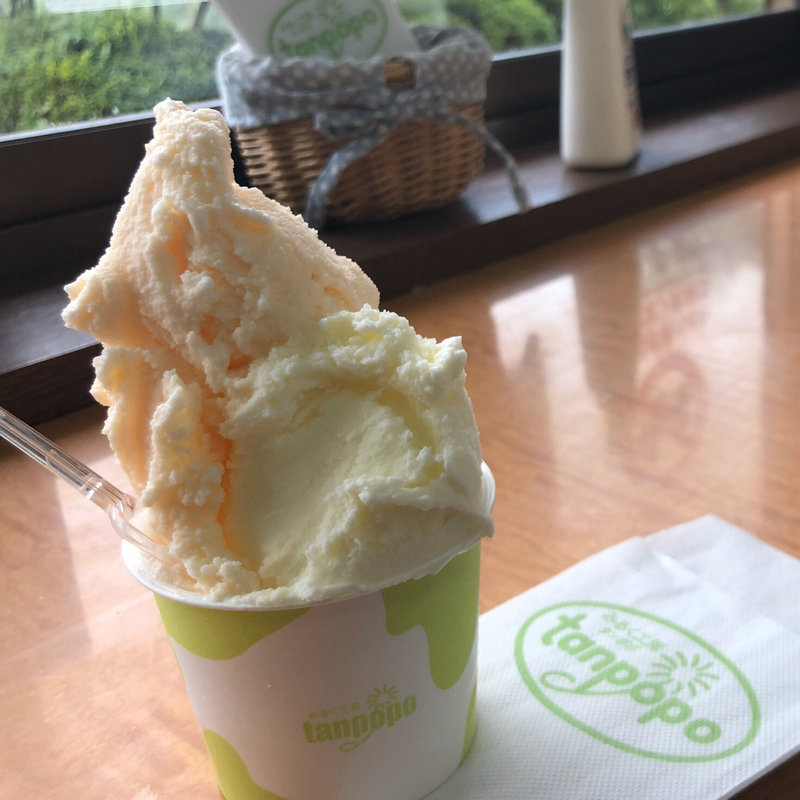 ジェラード　ダブル(タンポポ 長坂牧場内工場・直売店 （tanpopo）)