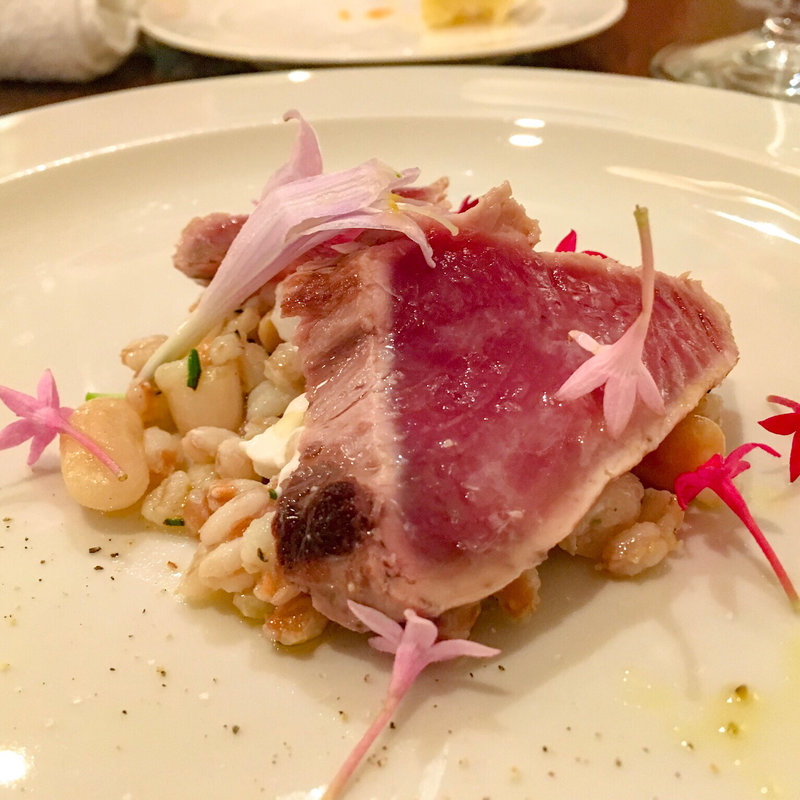 佐島 カツオのセミクルード ブッラータチーズと有機豆のサラダ(イタリアーノレストラン スクニッツォ Scugnizzo!)