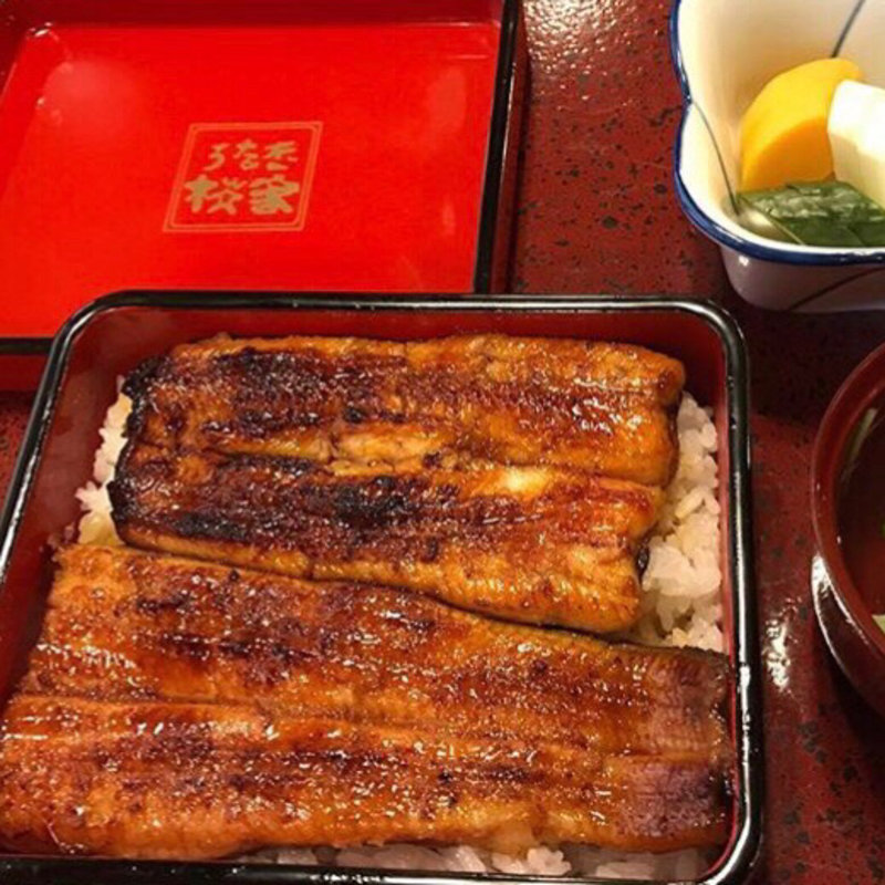 うなぎ重(うなぎ　桜家 （さくらや）)