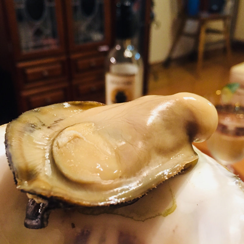 細島産岩牡蠣(道の駅日向 )