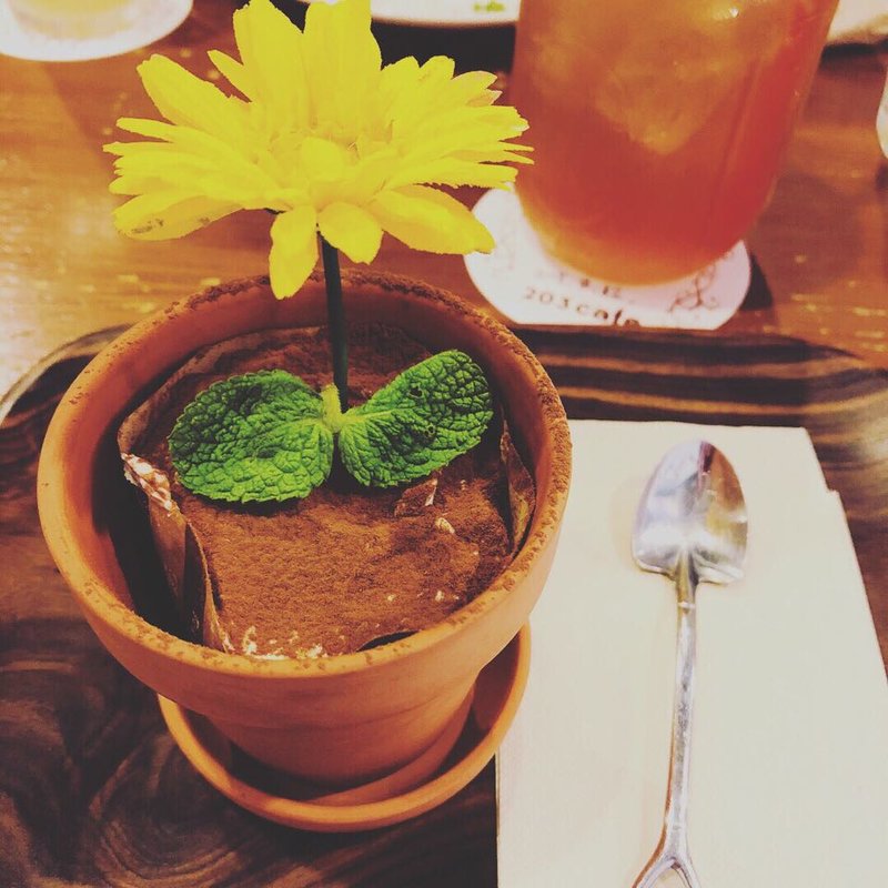 植木鉢ココアティラミス(203cafe＋ （ニーマルサンカフェプラス）)