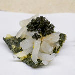 海苔の天ぷら白海老とキャビアのせ