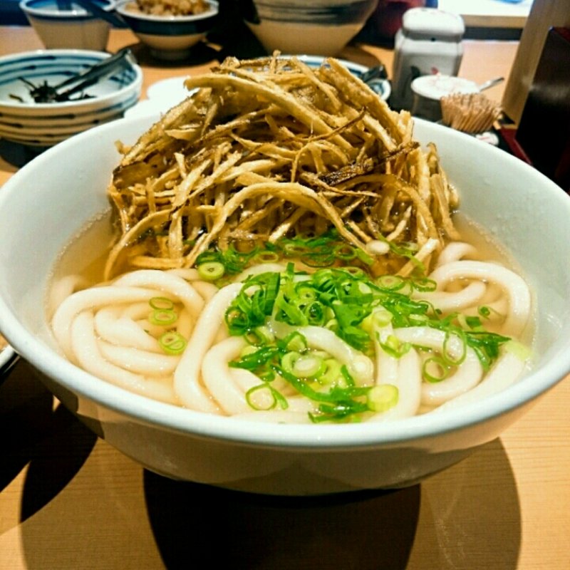 おっきなごぼう天うどん(四阿あずまや)