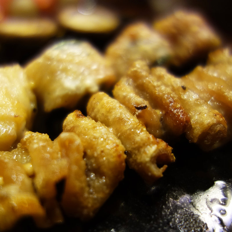 とり皮(もちのきそう)