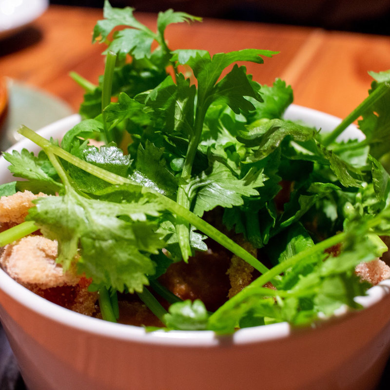 鶏皮パクチー(BISTRO TORICOYA)