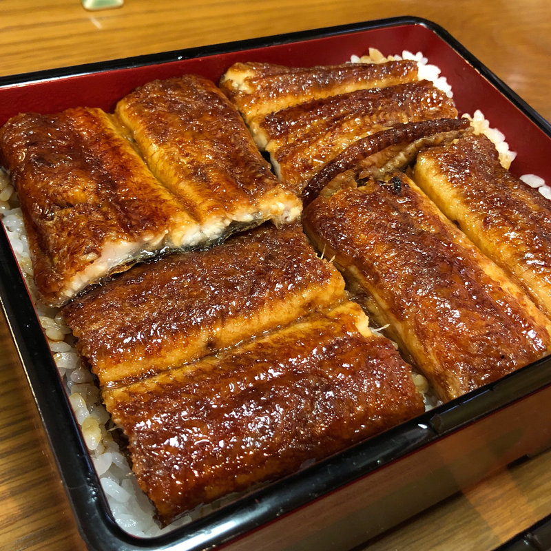 大阪まむし（蘭）1.5尾(本家 柴藤)