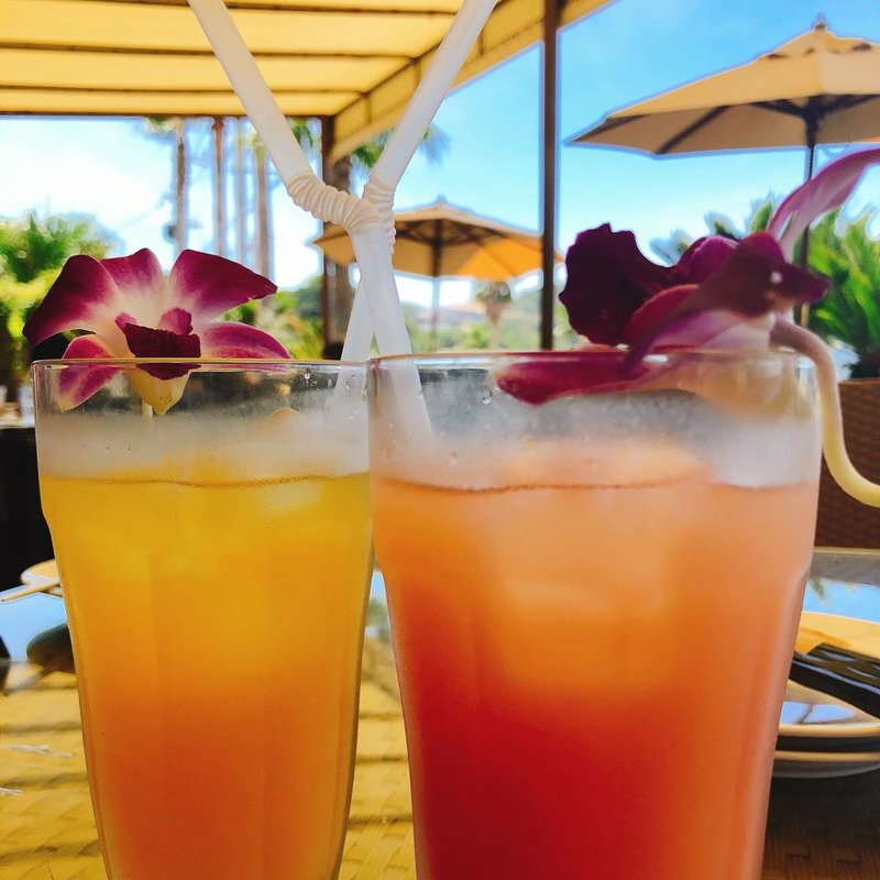 グアバジュース(パームビーチ （PALM BEACH）)