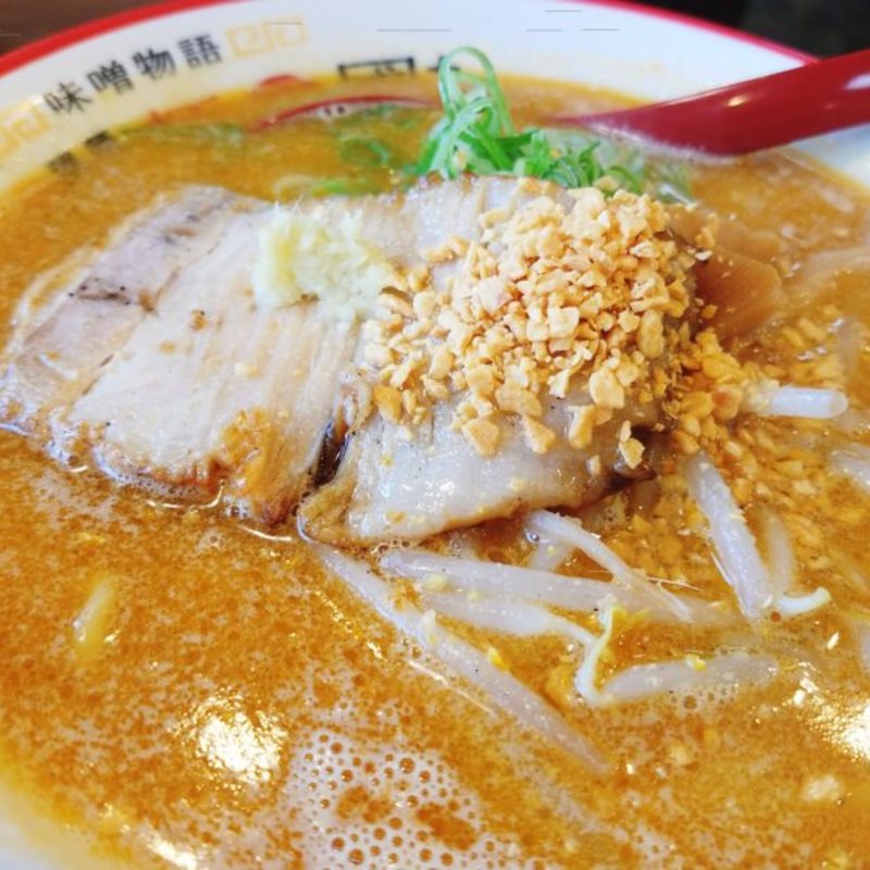 北海道百年味噌ラーメン(國丸 南国店 )