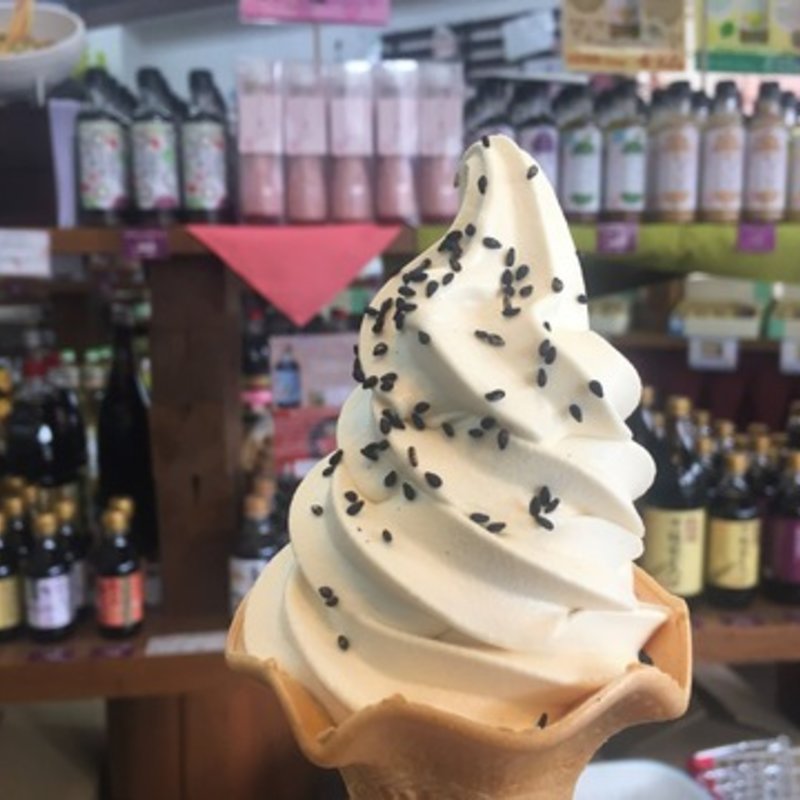 醤油ソフトクリーム(川中醤油 醤の館)